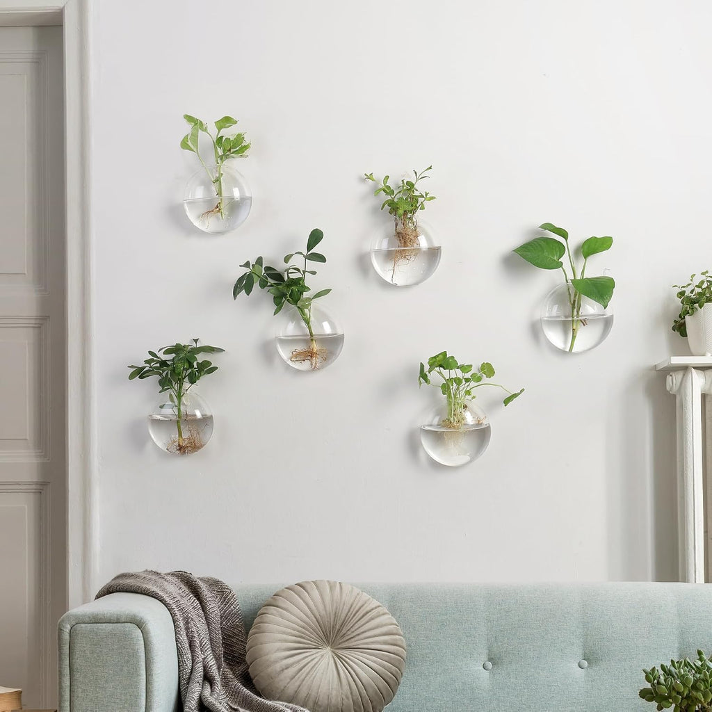 Wall Propagation Planters 6 Pack Wall Glass Planters Wall Plant Holder | Glass Wall Vase, Indoor Hydroponic Decor