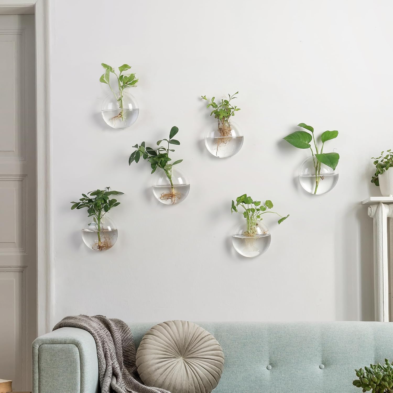Wall Propagation Planters 6 Pack Wall Glass Planters Wall Plant Holder | Glass Wall Vase, Indoor Hydroponic Decor