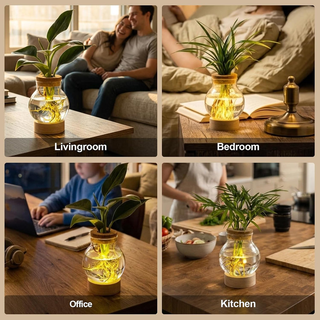 Propagation Stations, Plant Propagation Station with Light Base, Glass Propagation Vases, Hydroponic Vase for Plants