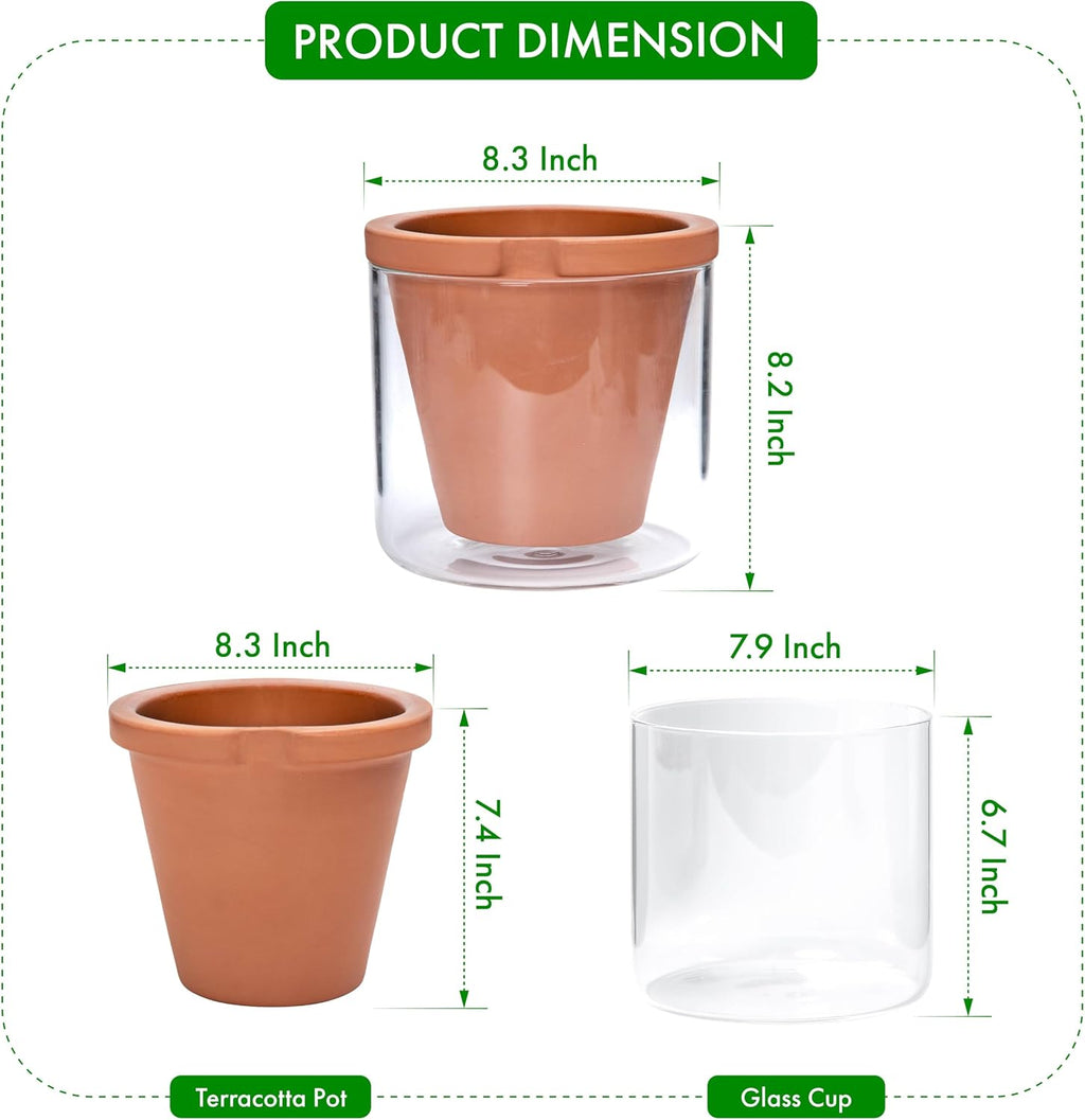 D'vine Dev Self Watering Terracotta Planter Pot, 8 in, 37-X-C-1 | Terracotta & Glass Design, Clear Water Reservoir