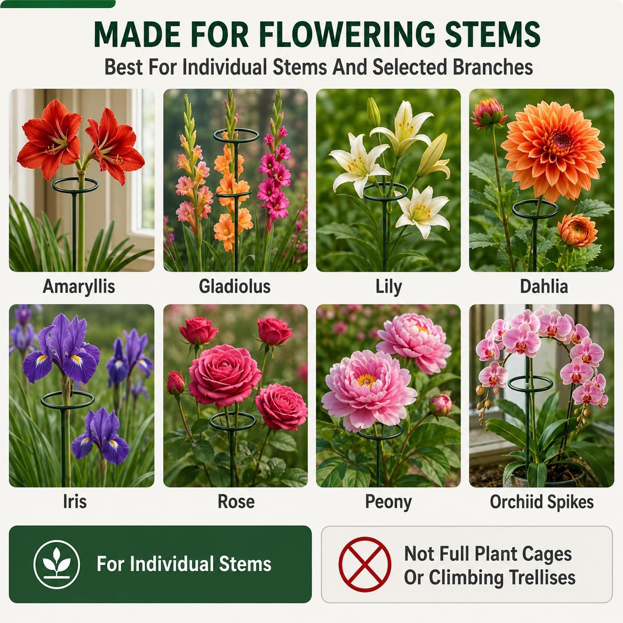 Plant Support Stakes, 20 Pack 24 Inch Metal Rings for Flower Stems | Green powder-coated hoops cradle top-heavy blooms