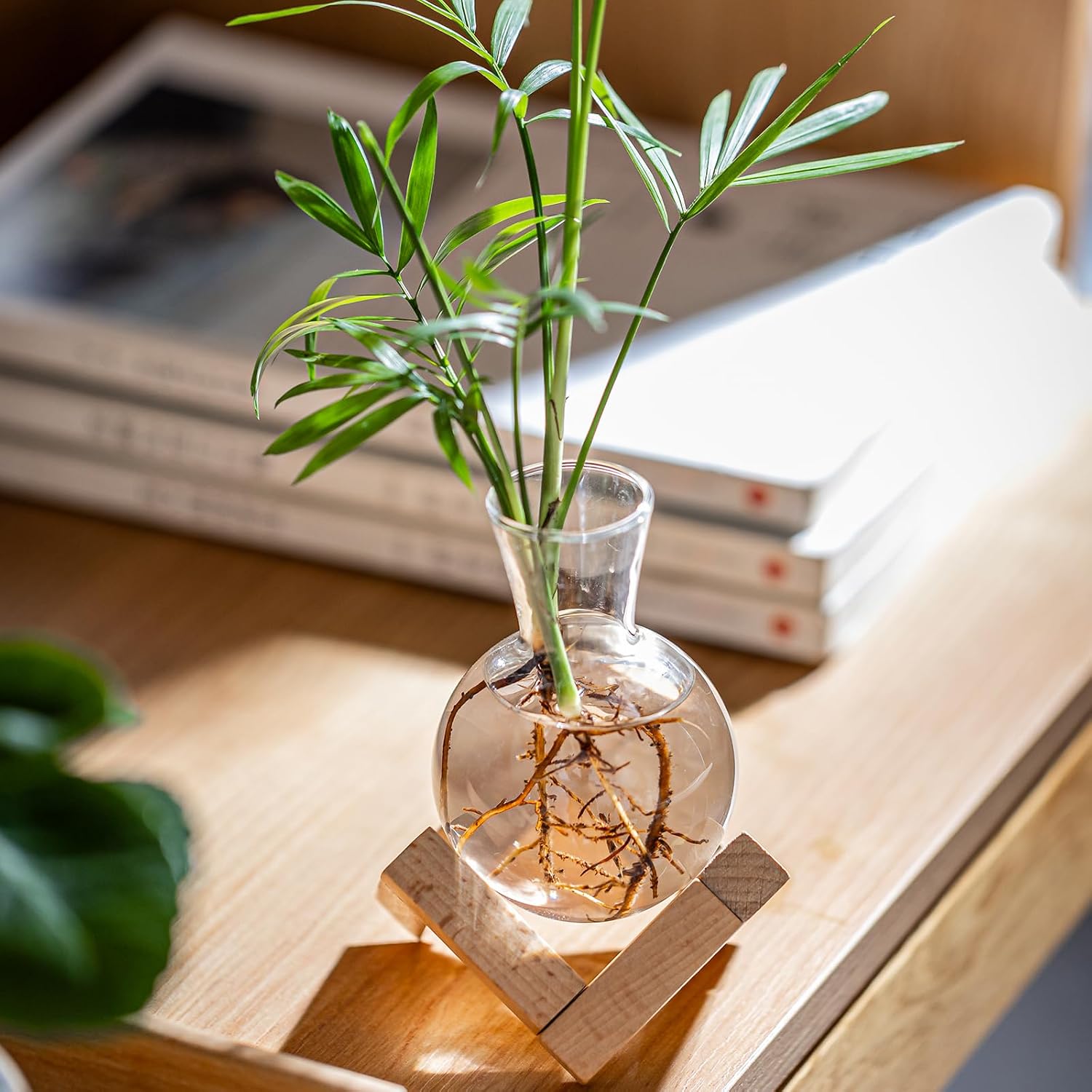 Propagation Stations, Propagation vases with Wooden Stand, Small Tabletop Glass Bulb Vases for Hydroponics Plant