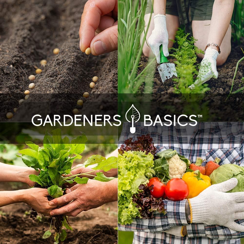 Gardeners Basics Survival Seed Vault Kit, Vegetable Seeds for Planting | 35 heirloom, non-GMO, non-hybrid