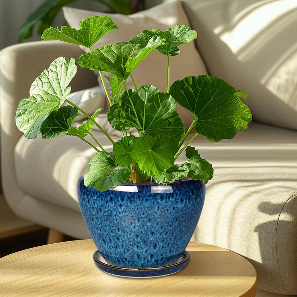 Ceramicfor 8 Inch Ceramic Plant Pot, Ceramic Planter Pot for Indoor Outdoor Plants, Round Flower Pot with Drainage Hole