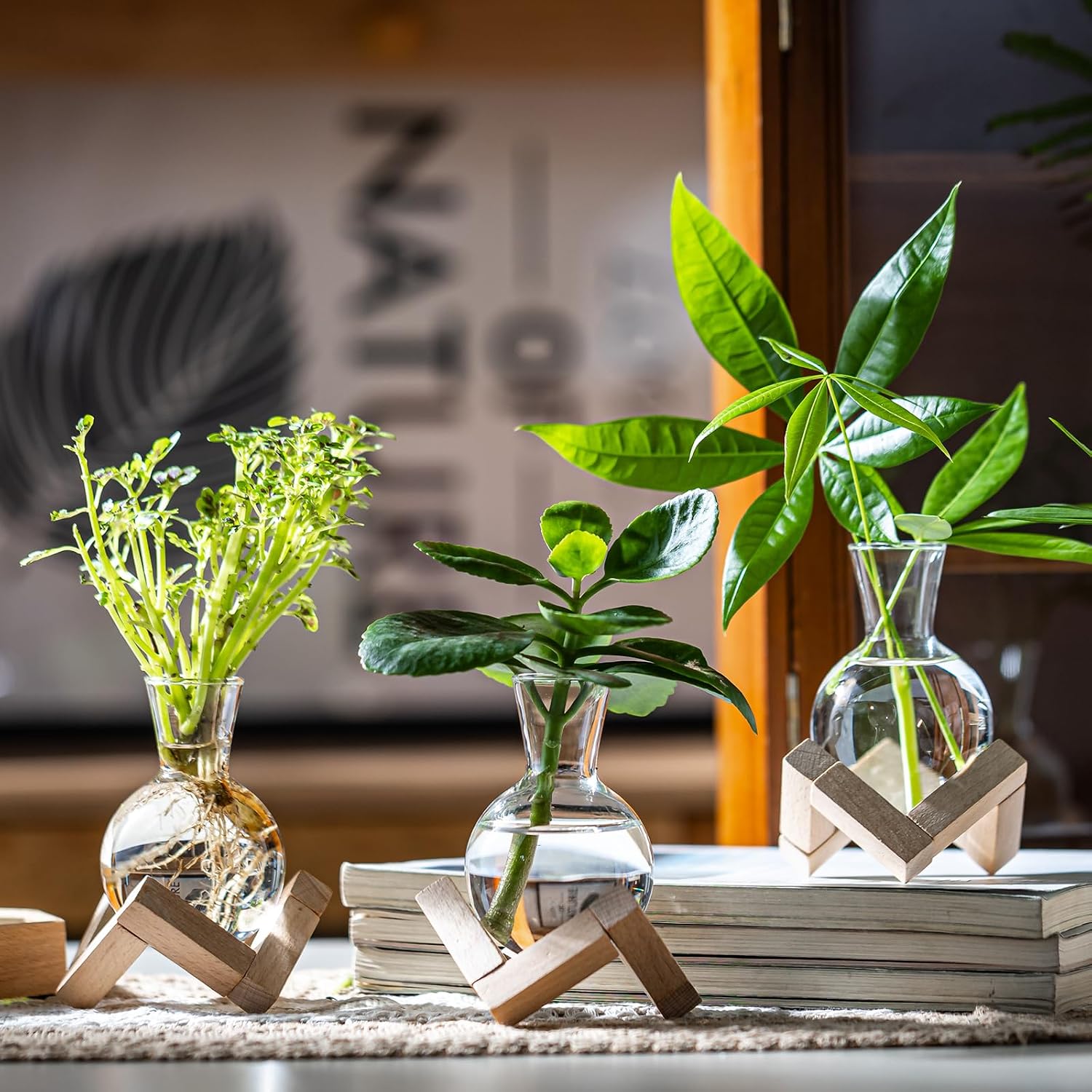 Propagation Stations, Propagation vases with Wooden Stand, Small Tabletop Glass Bulb Vases for Hydroponics Plant