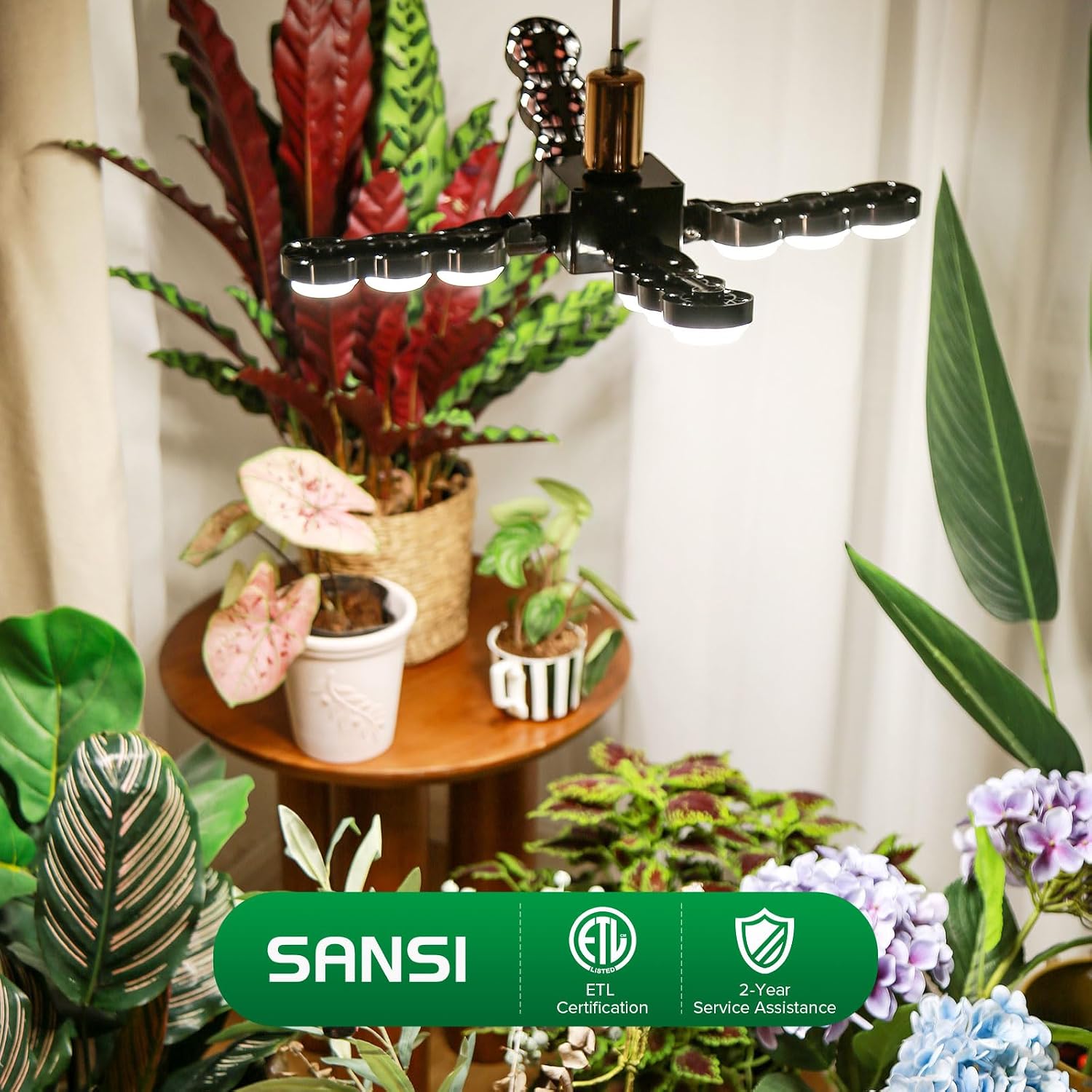 SANSI Grow Light for Indoor Large Plants, 80W High PPFD Dimmable, E26 Base | 4000K Full Spectrum, PPFD 720.9, Remote