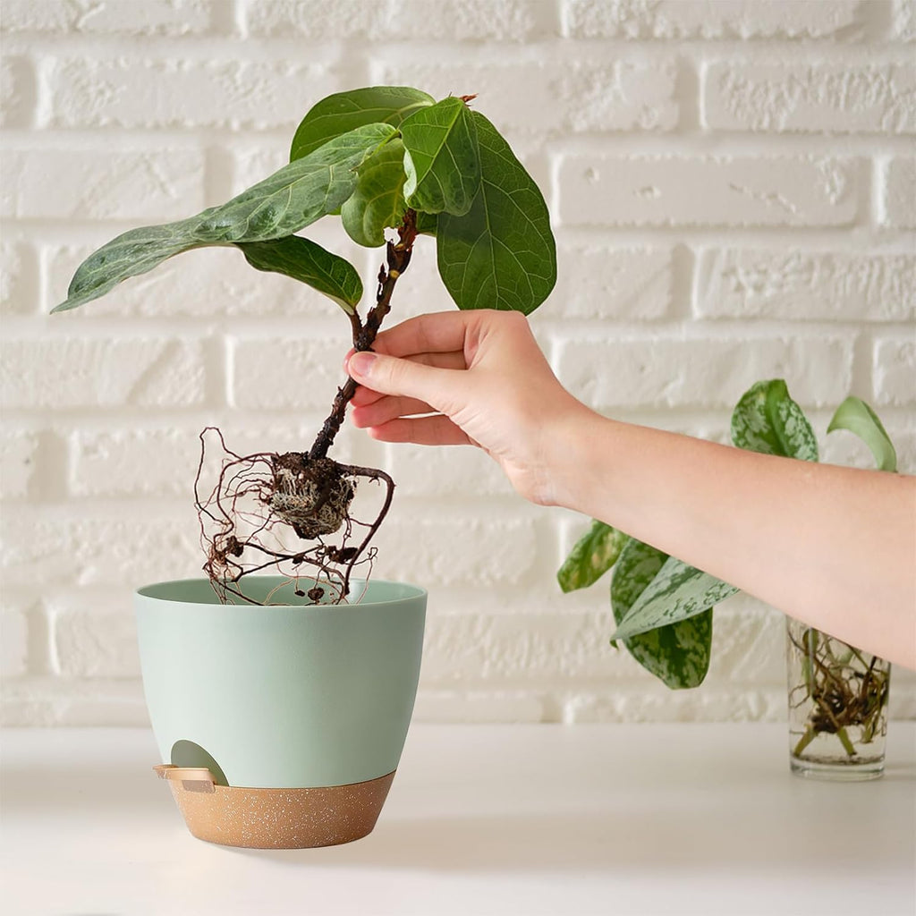 Self Watering Plant Pot with Drainage Hole,Plant Pots Outdoor Flower Pots for Indoor Plants,Modern Green Plastic Self