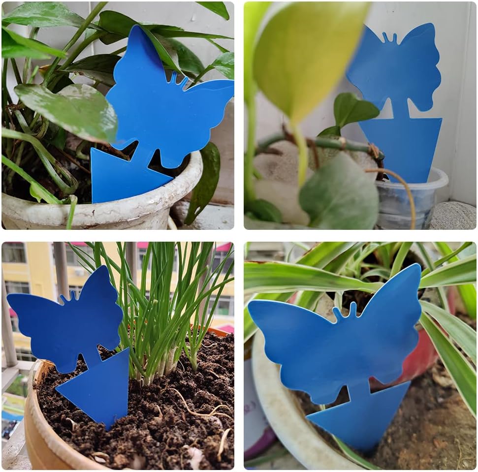 36 Pack Fungus Gnat Traps for House Plants, Blue Sticky Traps for Indoor Outdoor Use to Get Rid of Whitefly Mosquitoes