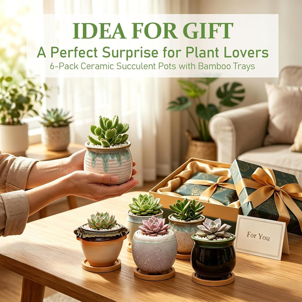 3.5 Inch Succulent Pot with Drainage,Planting/Flower Pots | Small Planter Pot for Mini Plant Ceramic Flowing Glaze Base