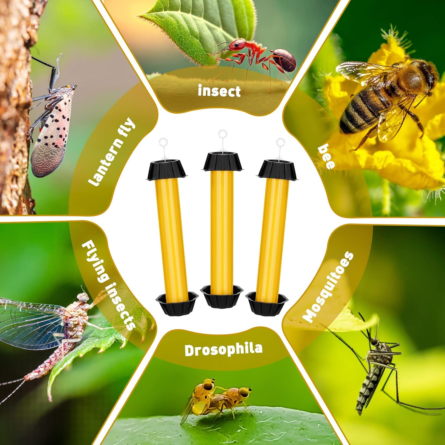 Qualirey 8 Pcs Sticky Fly Trap Fly Stick Indoor Outdoor Long Lasting Hanging Flies Bug Catcher Paper Tape Strips with