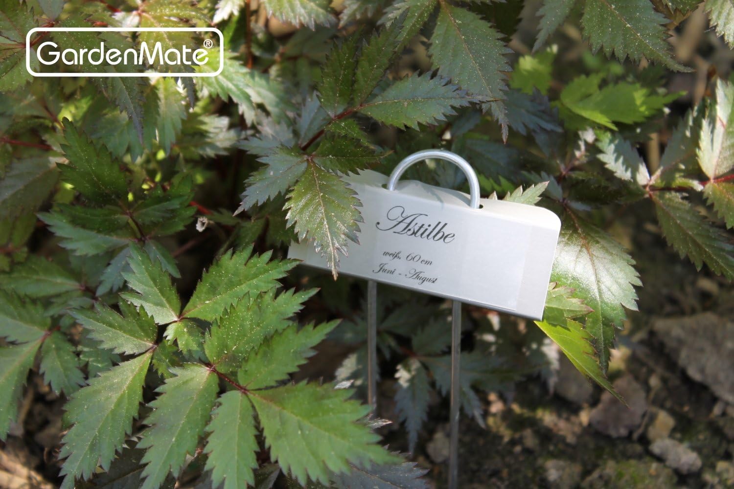 GardenMate 25-Pack Weatherproof Mini Metal Plant Labels, Height 5 3/4'', Label Area 7/8'' x 2 1/2''