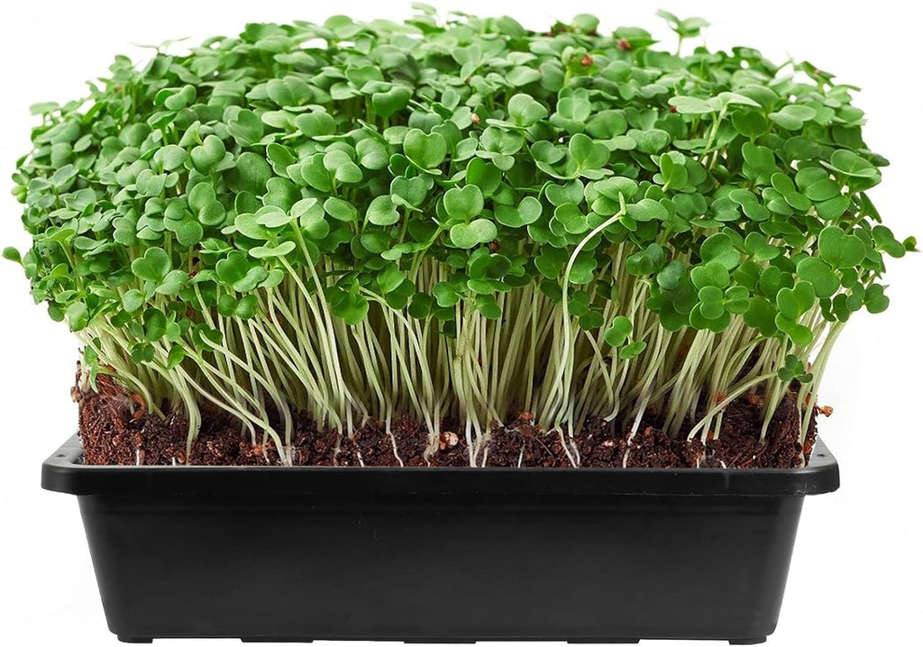 SINJEUN 15 Pack Mesh Bottom Seed Starter Trays, 15 x12 Inch Plastic Plant Tray Mesh Plant Germination Trays for