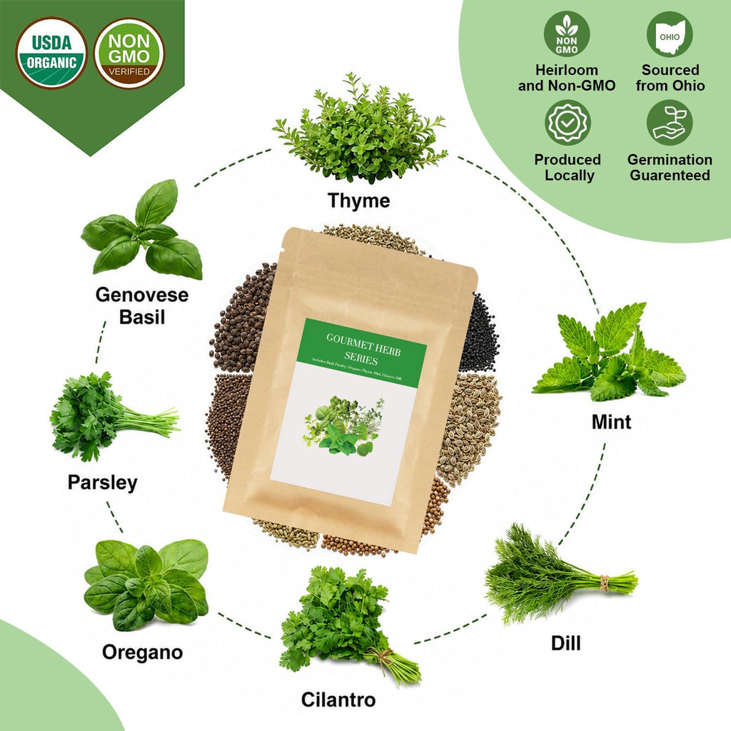 Gourmet Herb Seed Pod Kit for AeroGarden, idoo, Ahopegarden, MUFGA with Basil, Parsley, Thyme, Mint, Cilantro, Dill