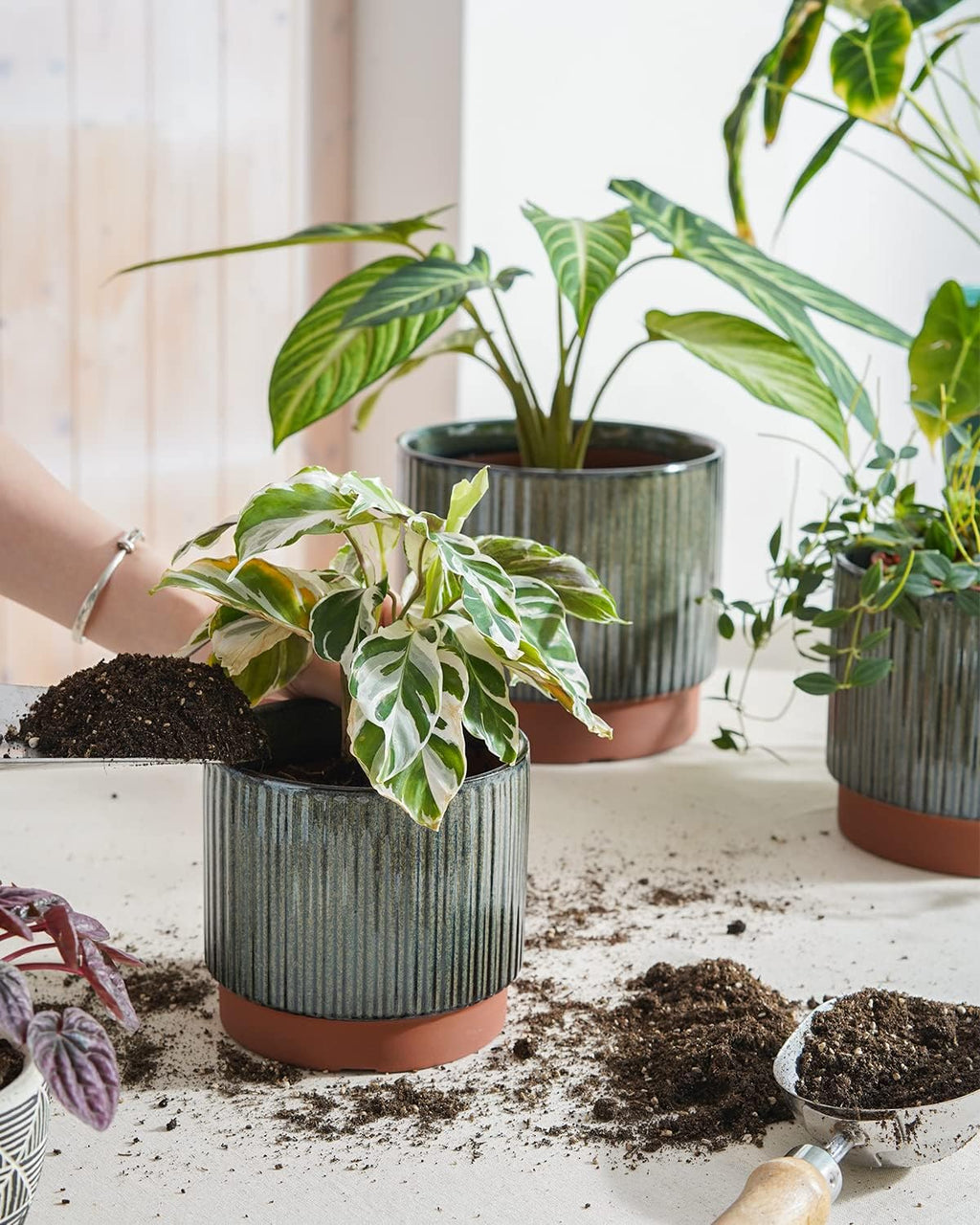 LE TAUCI Ceramic Plant Pots with Drainage Holes, Set of 3, 8+6.7+5.5 Inch Stripe Garden Planter Pots for Outdoor Indoor