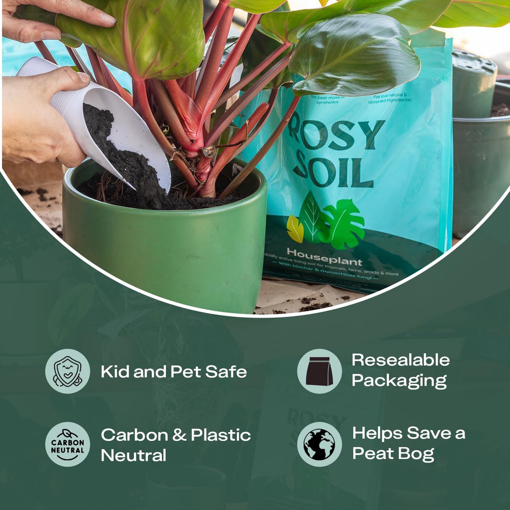 Rosy Soil Plant Parent Essentials Gift Box, Indoor Plant Kit | Gift for Plant Lovers, Gardening Tool Kit, with