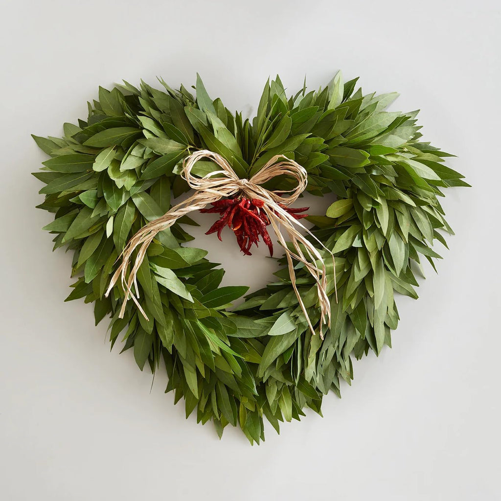 Daisy Ship Mediterranean Sweet Bay Laurel, Standard, Plant - 2 x 2-in Bags | Laurus nobilis fragrant edible leaves for