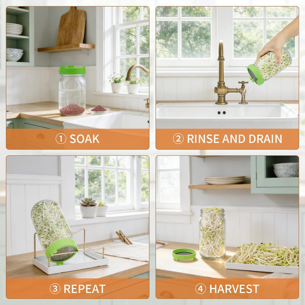 Seed Sprouting Kit with Radish 80g, 2 Large Wide Mouth Mason Jars with Sprout Lids, Blackout Sleeves, Drain Tray
