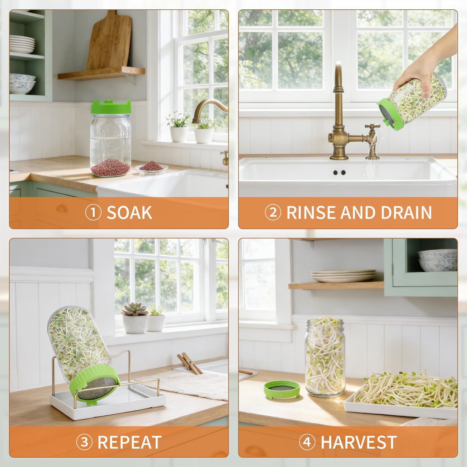 Seed Sprouting Kit with Radish 80g, 2 Large Wide Mouth Mason Jars with Sprout Lids, Blackout Sleeves, Drain Tray