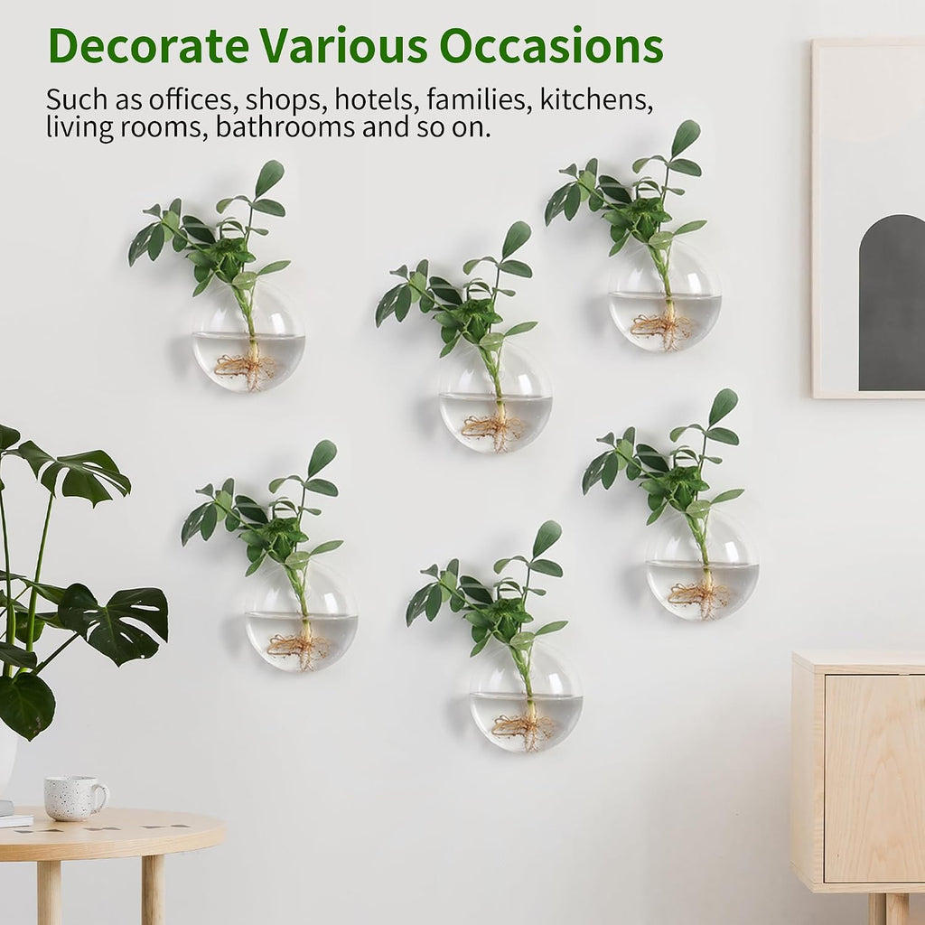 Wall Propagation Planters 6 Pack Wall Glass Planters Wall Plant Holder | Glass Wall Vase, Indoor Hydroponic Decor