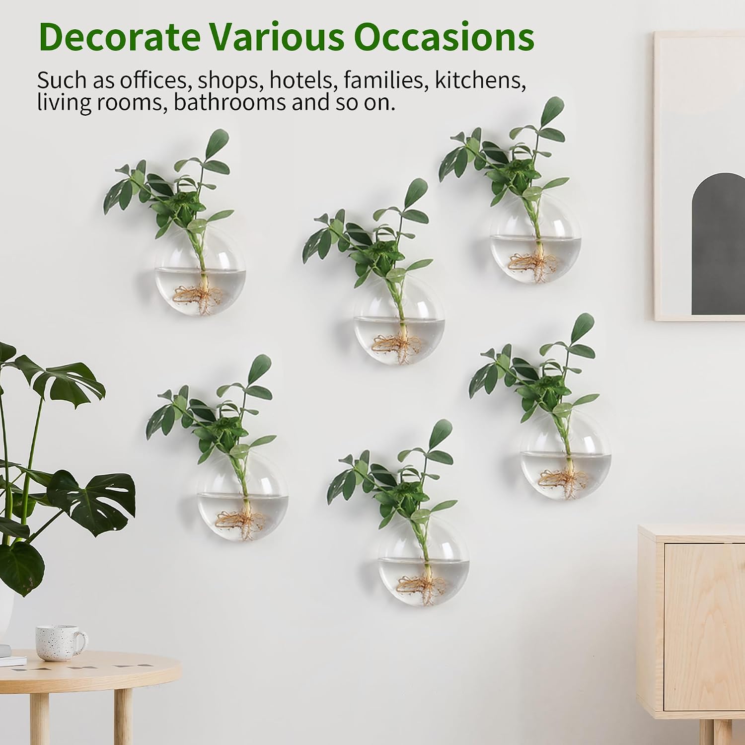 Wall Propagation Planters 6 Pack Wall Glass Planters Wall Plant Holder | Glass Wall Vase, Indoor Hydroponic Decor
