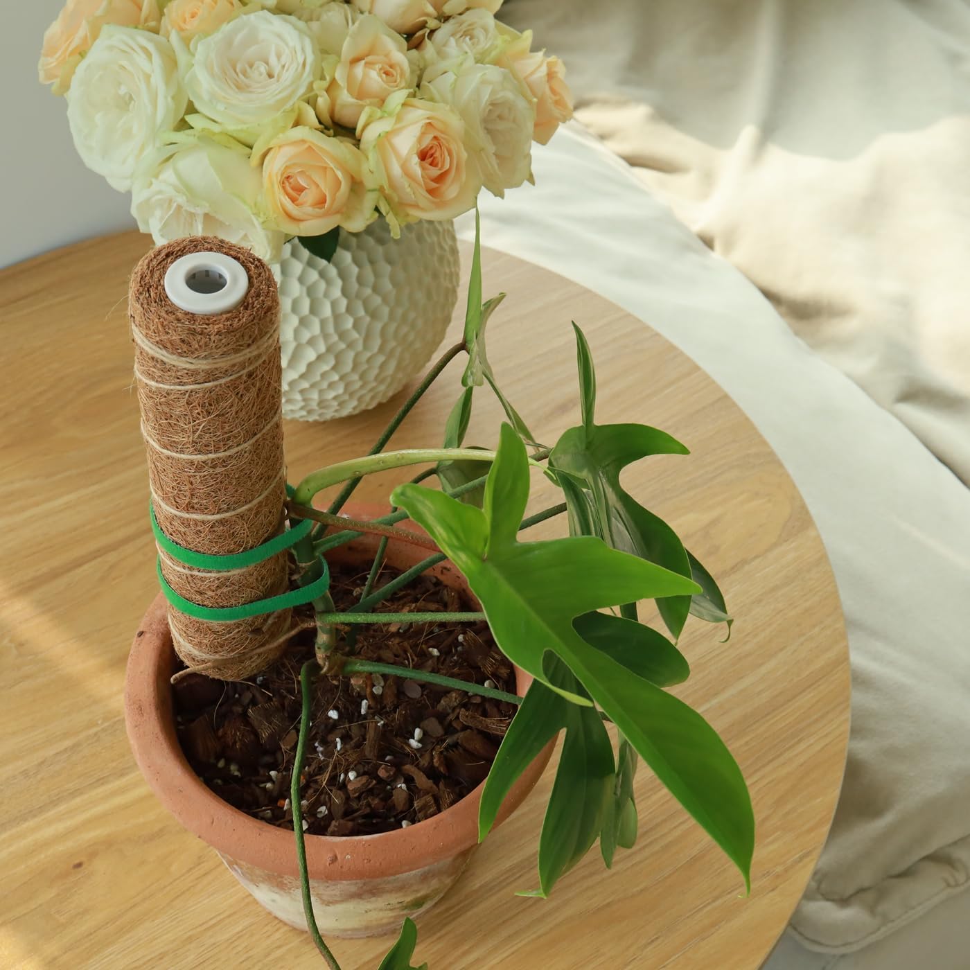 Moss Pole for Plants 4 Pack Natural Coco Coir Climbing Support Stakes with Plant Ties Indoor Monstera Plant Training