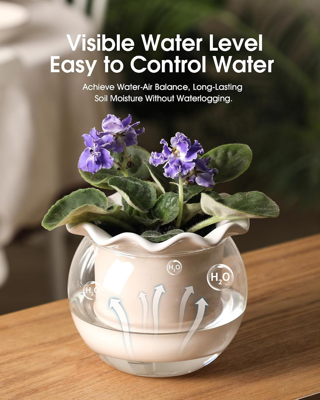 Fayoula 6 Inch African Violet Pots Maintenance, Glass Self-Watering Planter for Indoor Plants - Ideal Flower Pot for