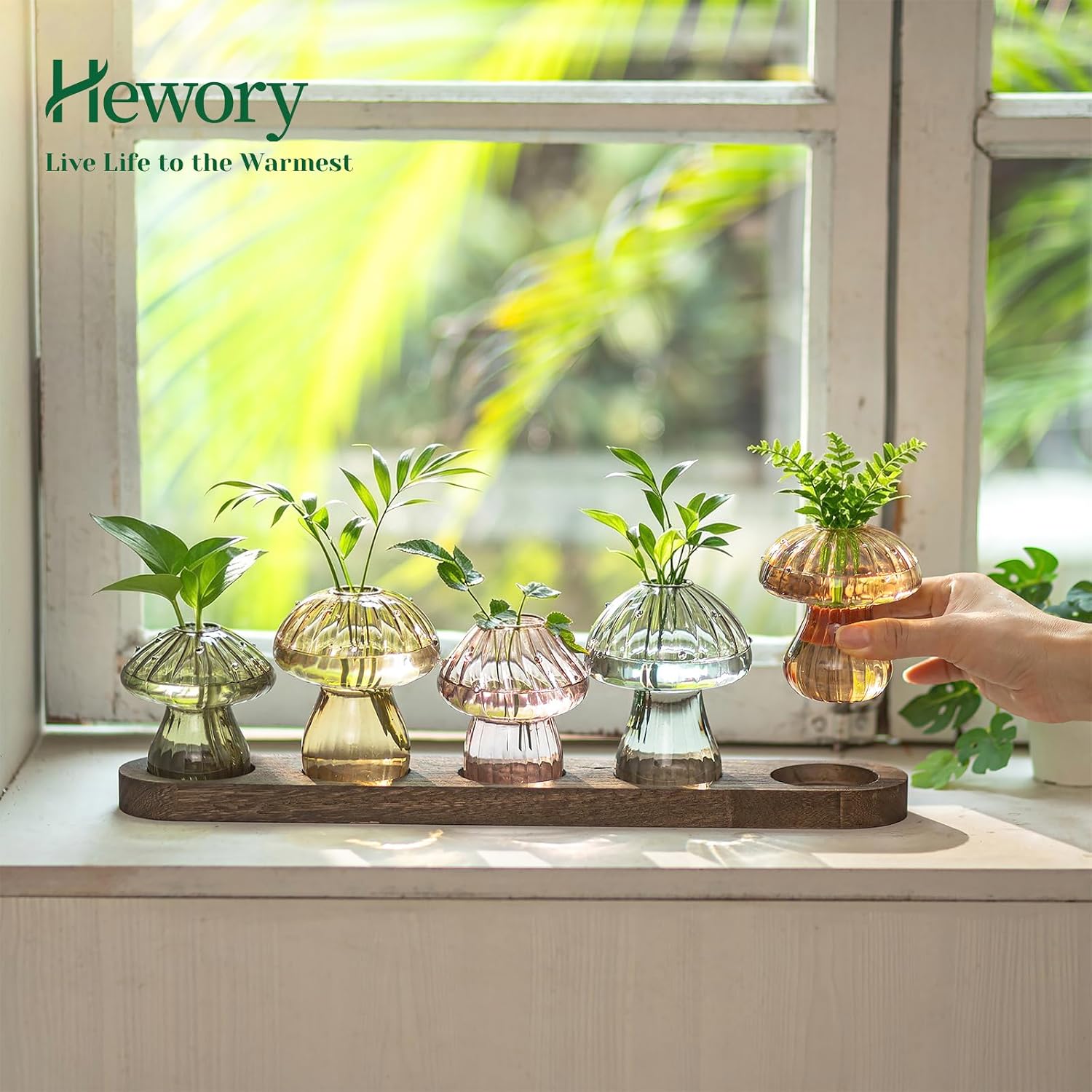 Hewory Plant Propagation Stations: 5PCS Amber Mushroom Vase with Wood Tray | Gifts for Plant Lovers, Mother