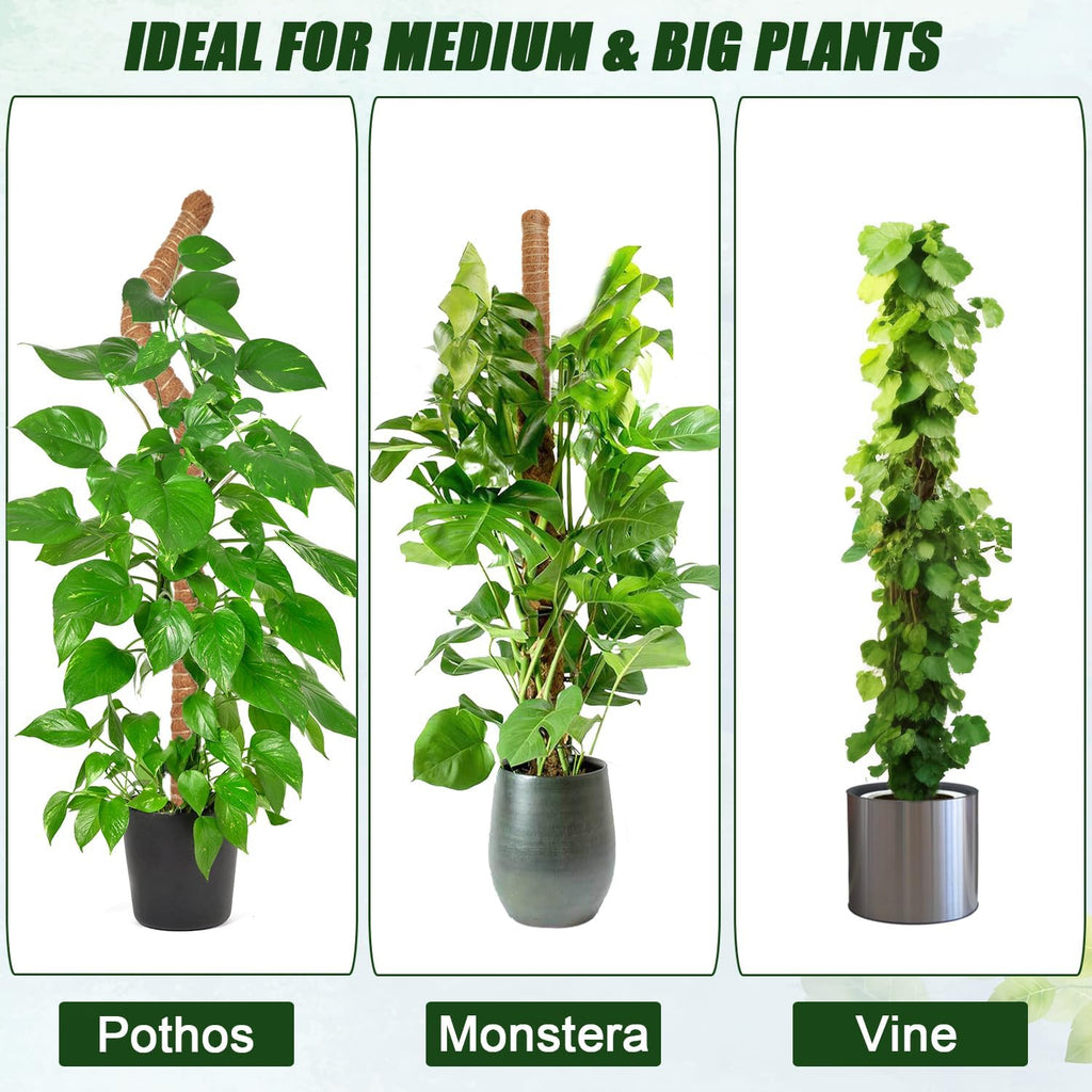 Moss Pole 31.5 Inch, 6 Pack Bendable Moss Pole for Plants Monstera, Moss Poles for Climbing Plants Indoor, Coconut