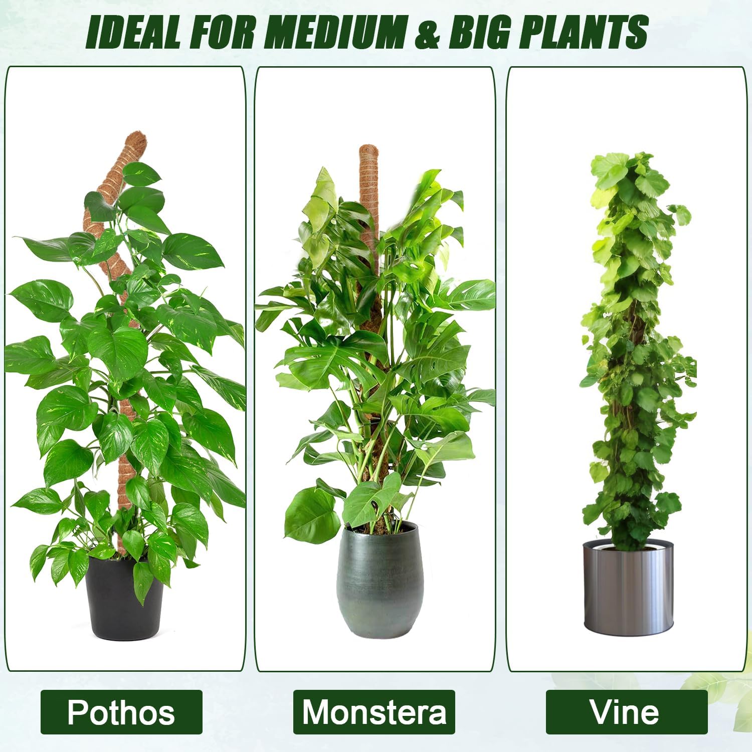 Moss Pole 31.5 Inch, 6 Pack Bendable Moss Pole for Plants Monstera, Moss Poles for Climbing Plants Indoor, Coconut