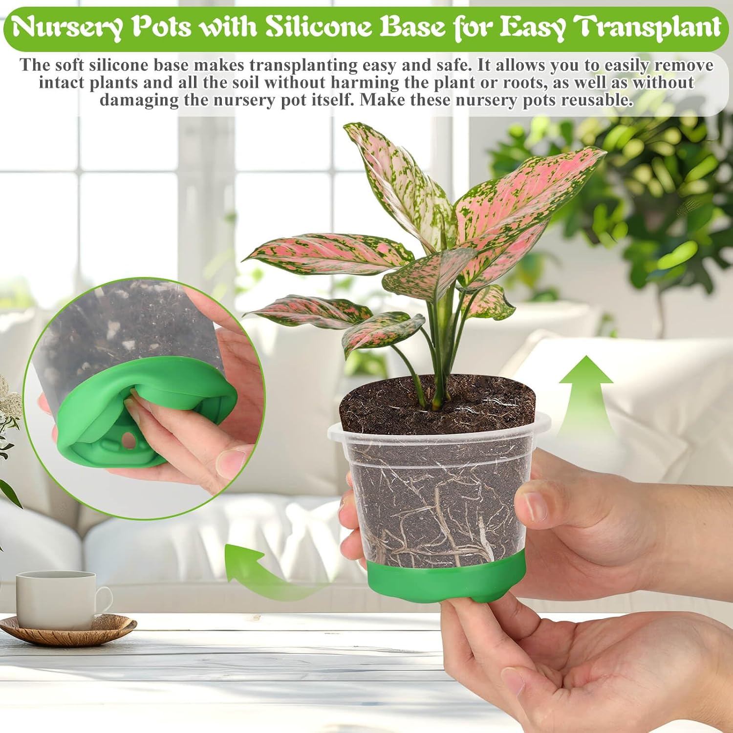 Caffox 55PCS Reusable Seed Starter Kit Includes 30 Packs 3.5" Clear Nursery Pots with Silicone Base, Repotting Mat