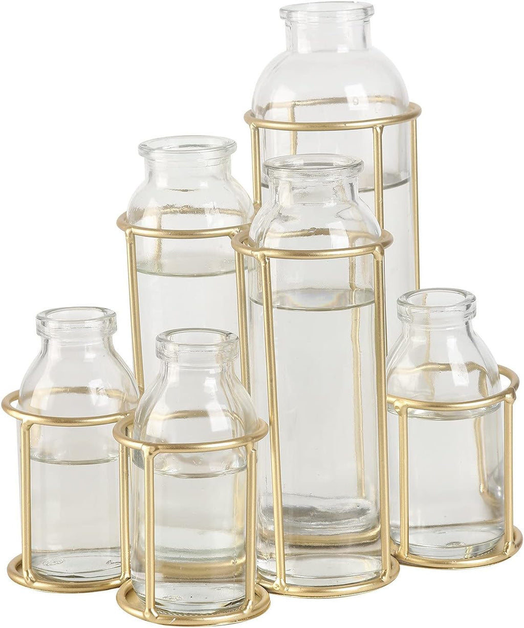 Flower Vases with 6 Bottle Crystal Clear Glass Flower Vase with Metal Stand Propagation Station Plant Display Holder