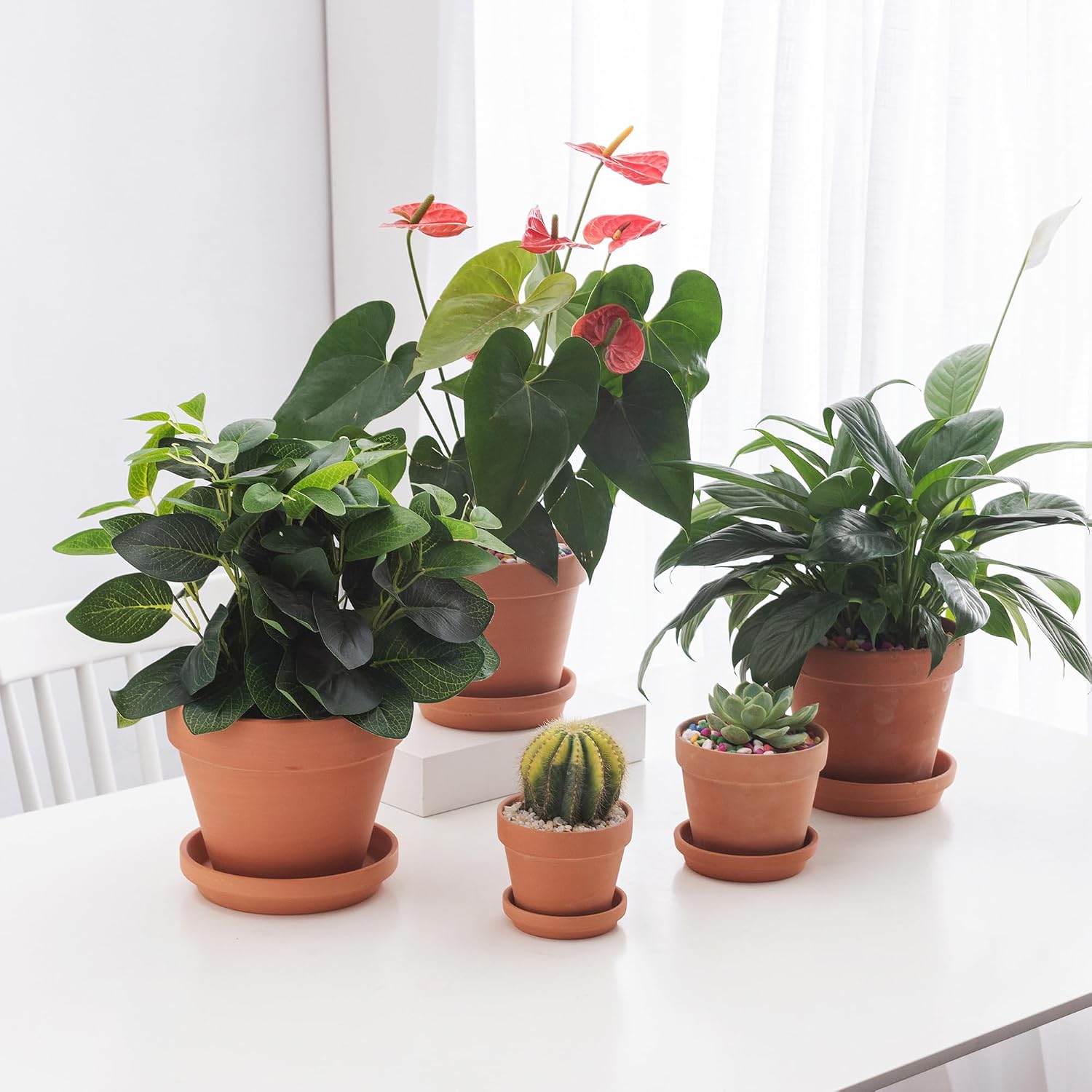 Fcacti 4.7 inch Middle Terra Cotta Plant Saucers, Round Pot Drip Trays,Durable Thicker Clay Plant Tray Flower Pot
