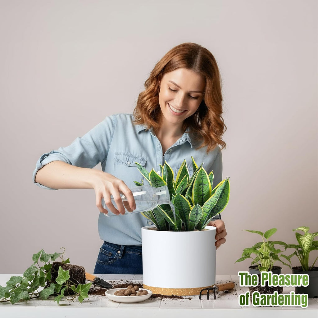 10/9/8 Inch Plant Pots 3 Pack, with Drainage Hole & Saucers | Cylindrical plastic planters with drainage holes &
