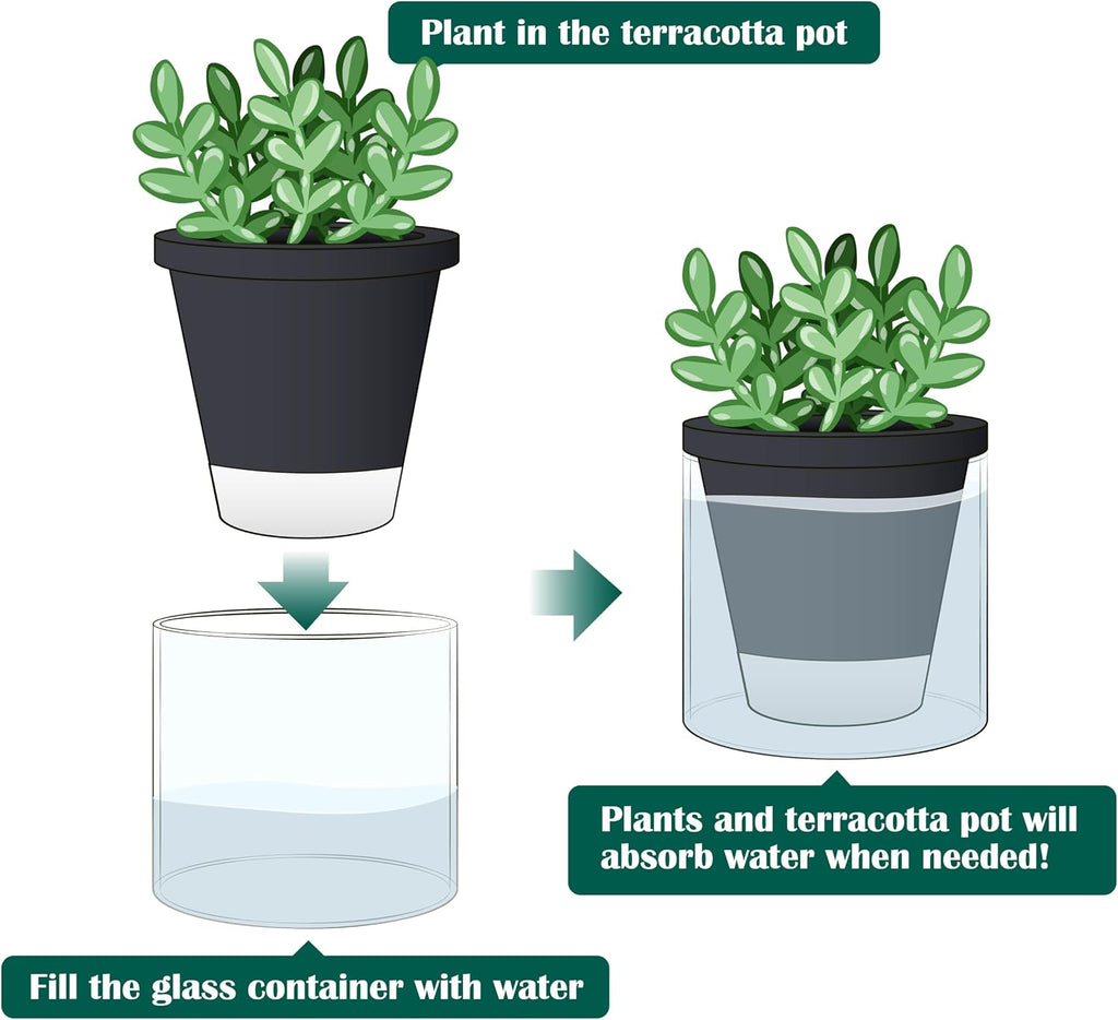 D'vine Dev Self-Watering Black Terracotta Planter, 4 in, 2-Pack, 37-Y-A-3 | Terracotta & Glass Design, Clear Water