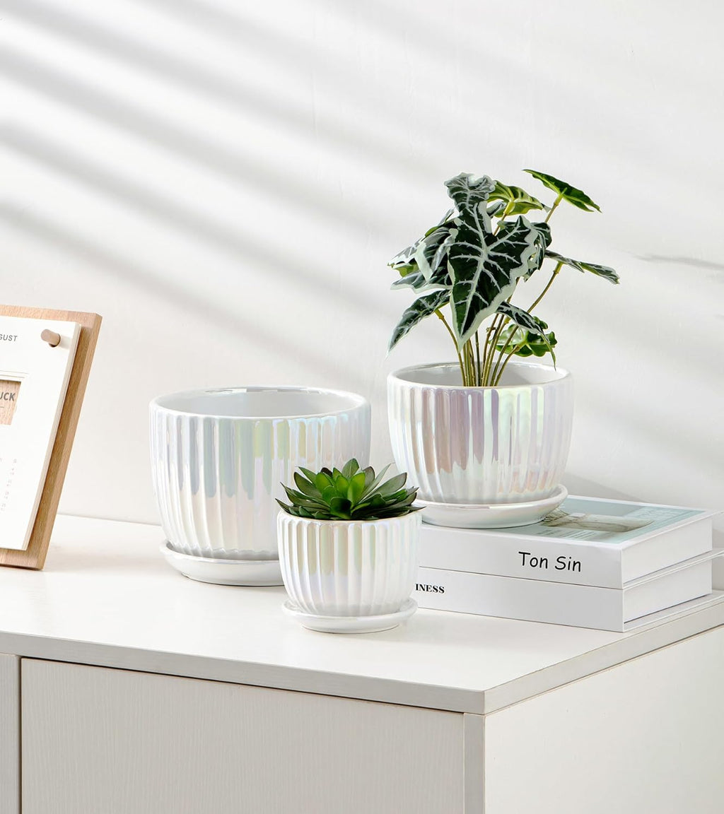 Plant Pots,Ceramic Flower Pots with Drainage Holes & Saucer Set of 3（Pearl） | Pots for Indoor Plants | Decorative