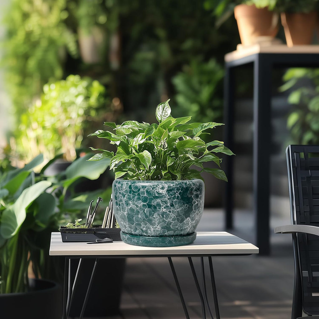 SQOWL 8 Inch Plant Pot - Ceramic Planter for Indoor Plants, Decorative Flower Pot with Drainage Hole and Saucer, Round