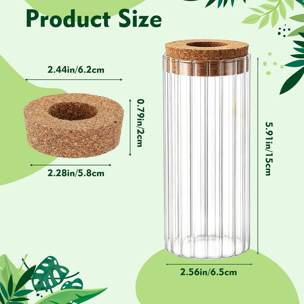 6 Set Propagation Station Jar Desktop Glass Planter Station Flower Vases Water Terrarium Jar with Cork Lid for
