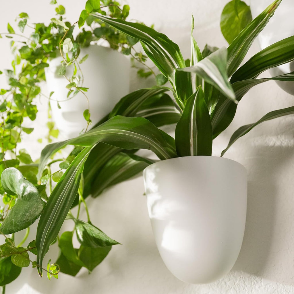PlantPod Classic - Self-Watering Wall Planters (6, White) - Easy to Water and Install - Lightweight - Design Your Own