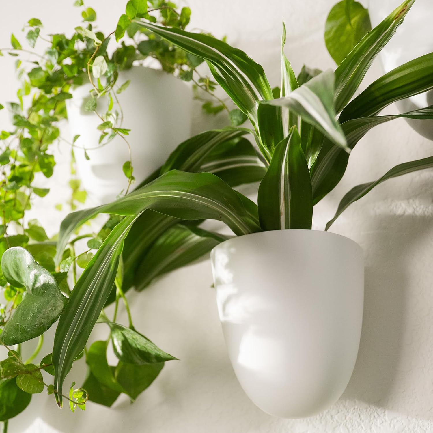 PlantPod Classic - Self-Watering Wall Planters (6, White) - Easy to Water and Install - Lightweight - Design Your Own