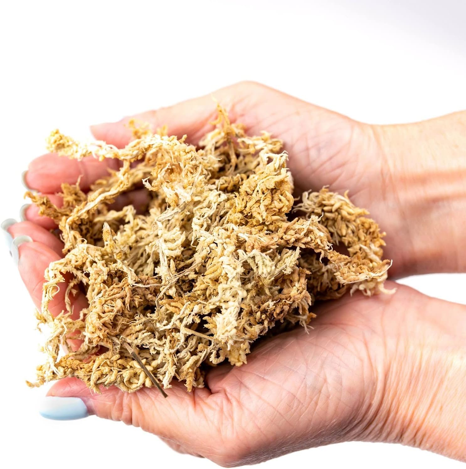 Premium New Zealand Sphagnum Moss by Gardenera - Organic Hand Mixed Long Fibered Sphagnum Moss Orchid - 3 Quart