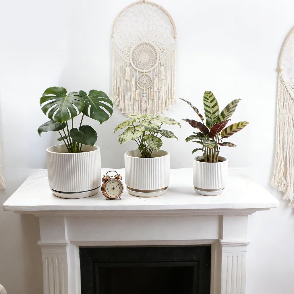 Ceramic-Flower-Pots-Sets-with-Saucer, 5/6/8 inch Small Planters for Indoor Plants with Drainage Hole, White Vertical