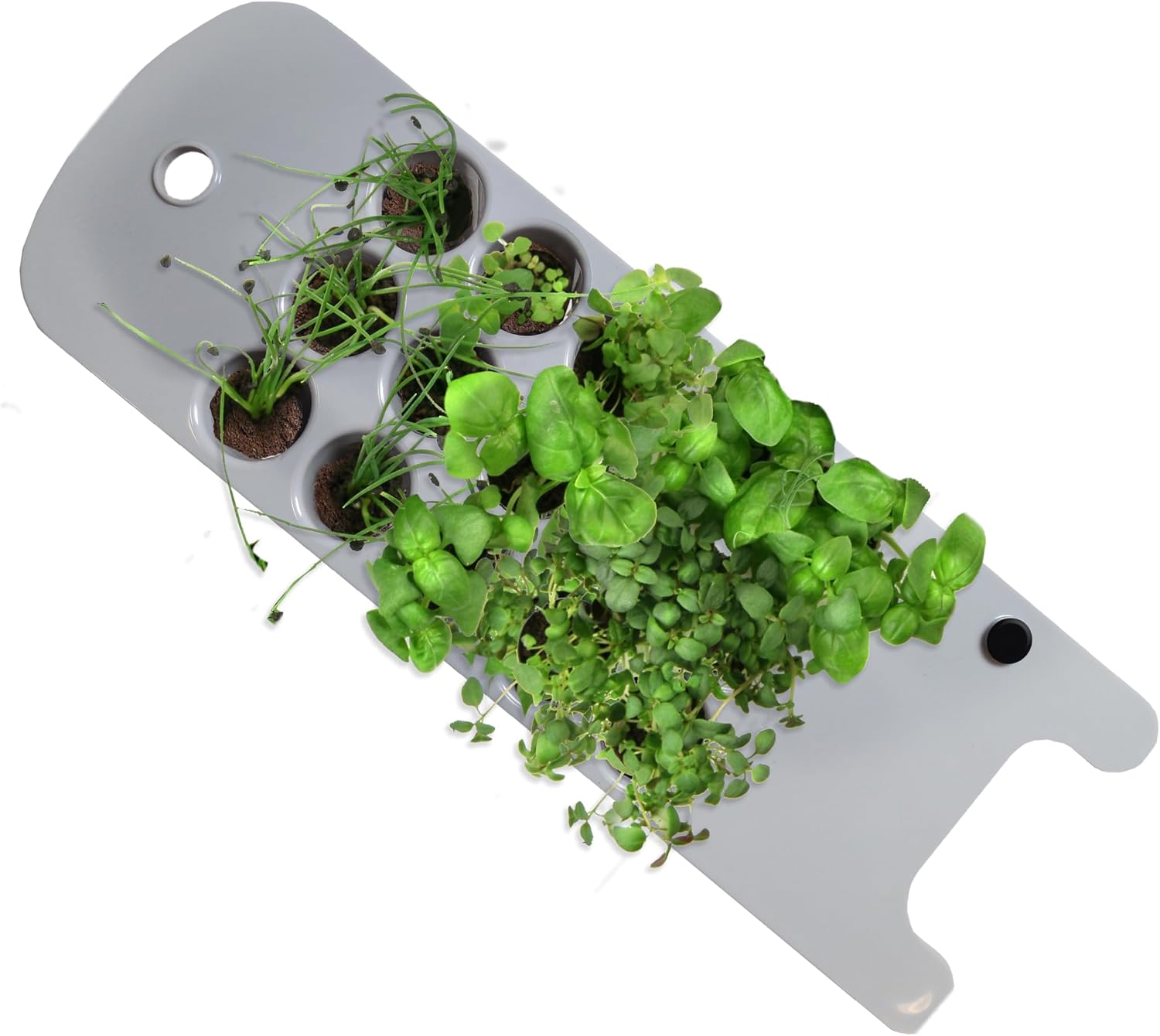 AeroGarden Seed Starting System for AeroGarden Sprout | Plastic Seed Starter Tray, 15 Biodegradable Grow Sponges, 3 oz.