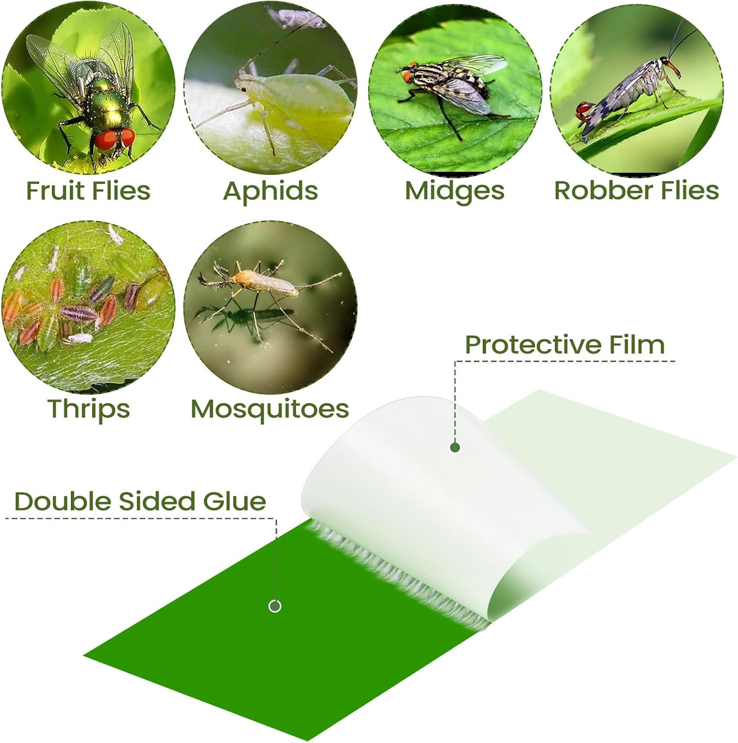 Qualirey 300 Pcs Sticky Houseplant Traps Fungus Gnat Fruit Fly Trap Sticky Houseplant Stakes Insect for Outdoor Garden