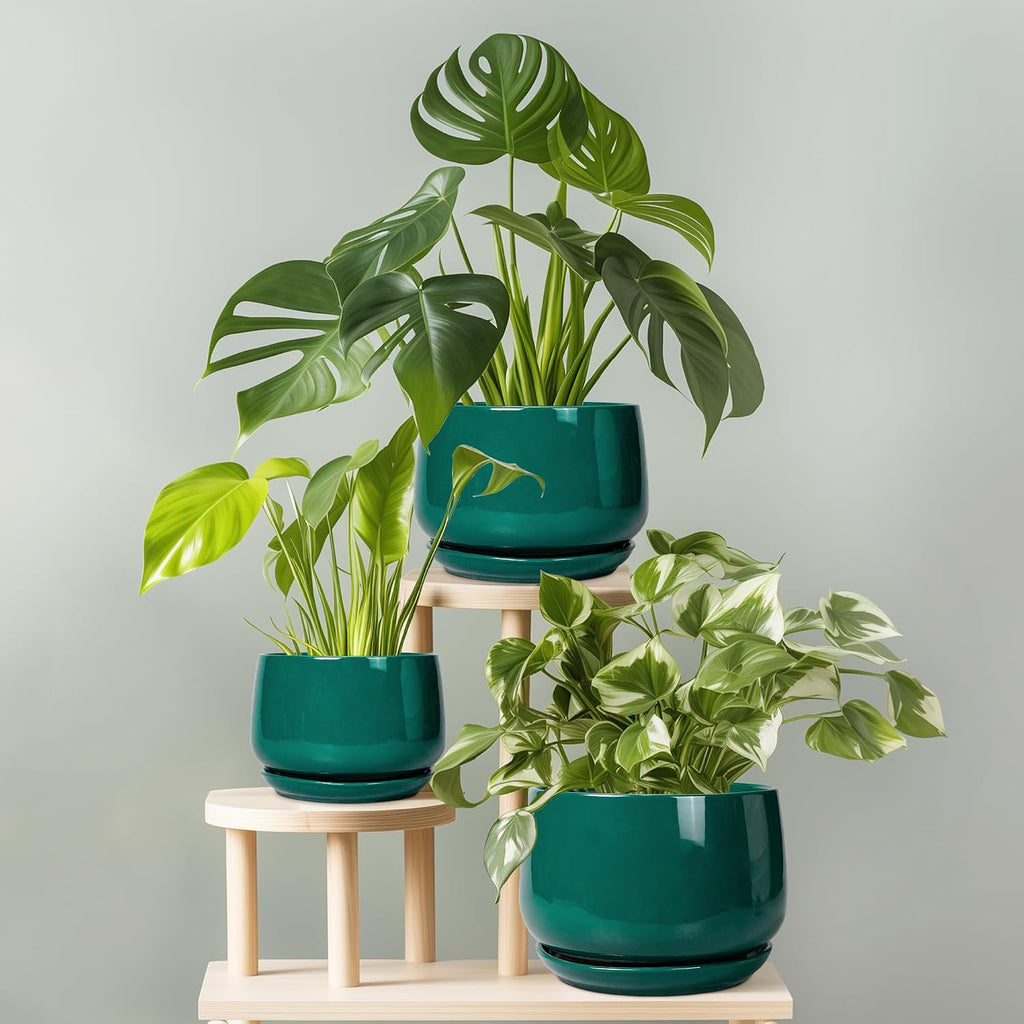 G EPGardening Ceramic Pots for Plants - 9 Inch Ceramic Planter for Indoor Plants, Round Planter with Drainage and