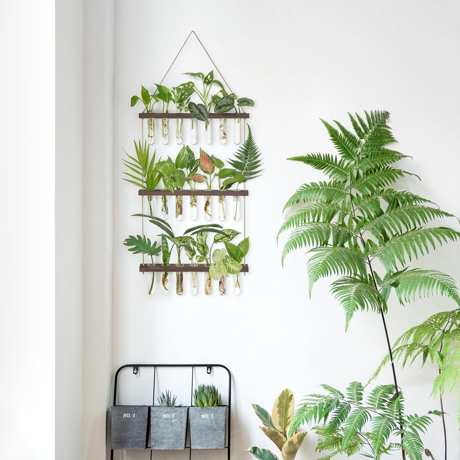 Mkono Plant Propagation Station, 3 Tier Large Brown Wall Hanging Vase Tubes | Glass Terrarium Planter,Wooden Stand,for