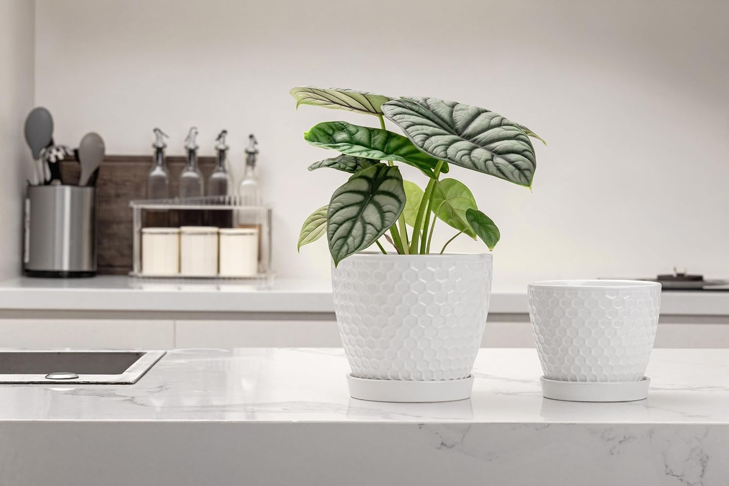 Docrin Ceramic Plant Pots Set of 2 (6.6"+5.5"), High-Fired Clay Indoor Planters with Drainage Holes & Saucer, Honeycomb
