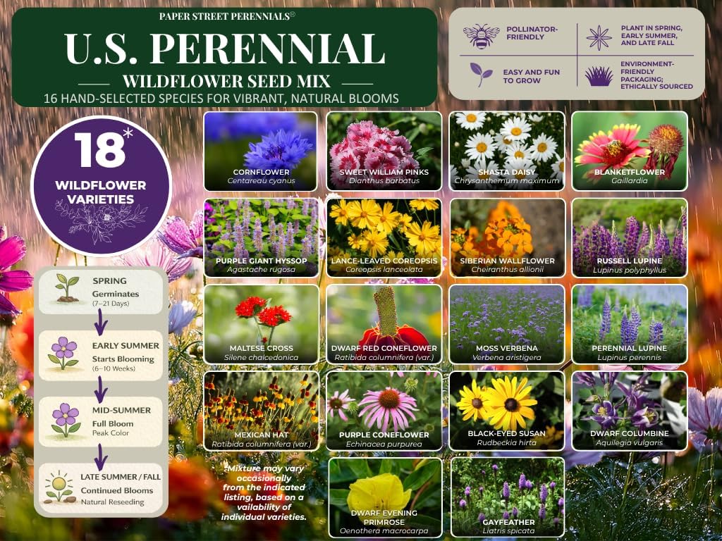 All US Zones All Perennial Wildflower Seed Mix 1/4 Pound Covers 500 sqft Non-GMO Includes Drought Tolerant Species