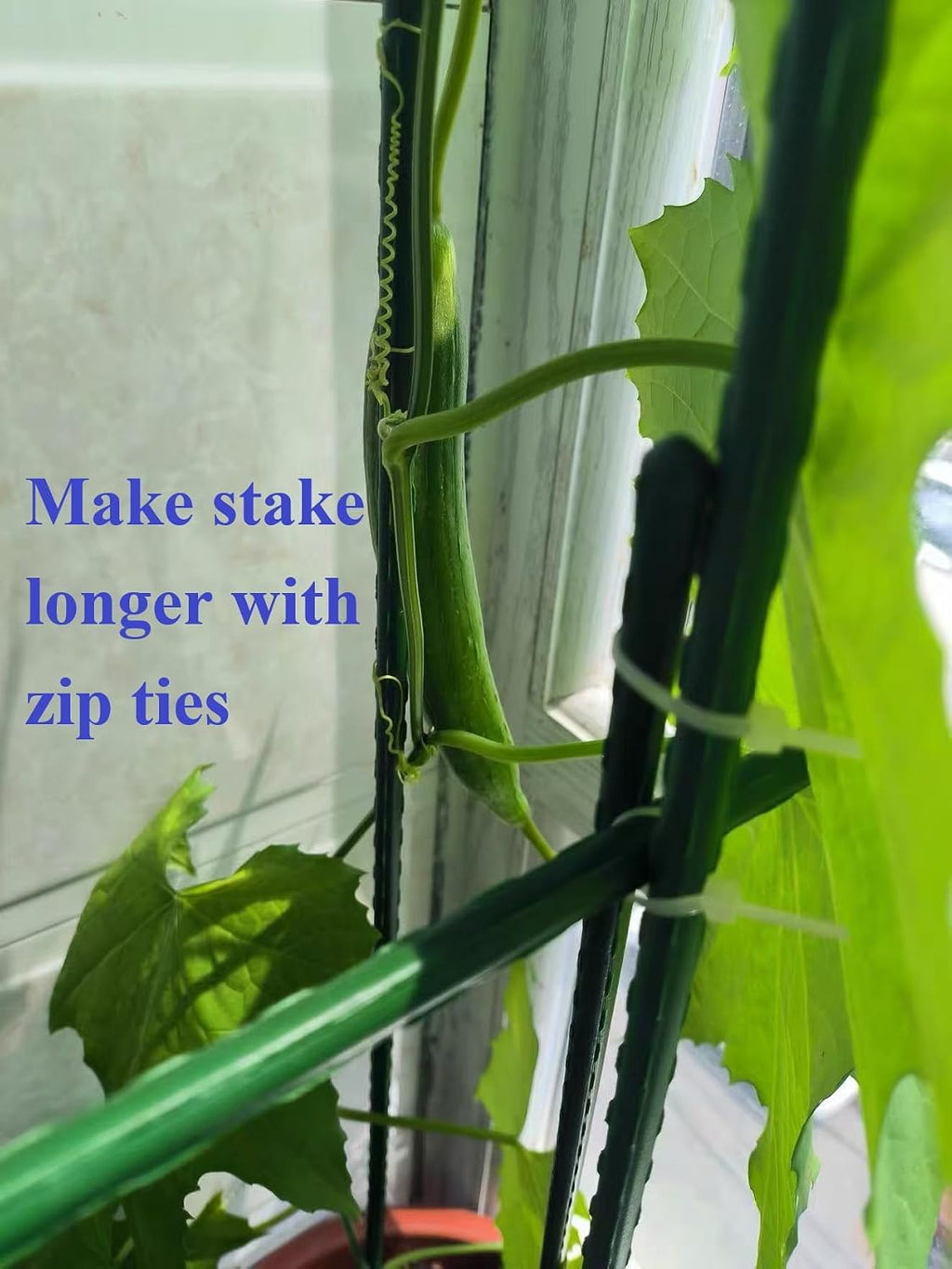 30" Sturdy Eggplant Supports Tomato Cage Plant Trellis Vegetable Stakes Plant Support Cages Planter Metal Inner Plant