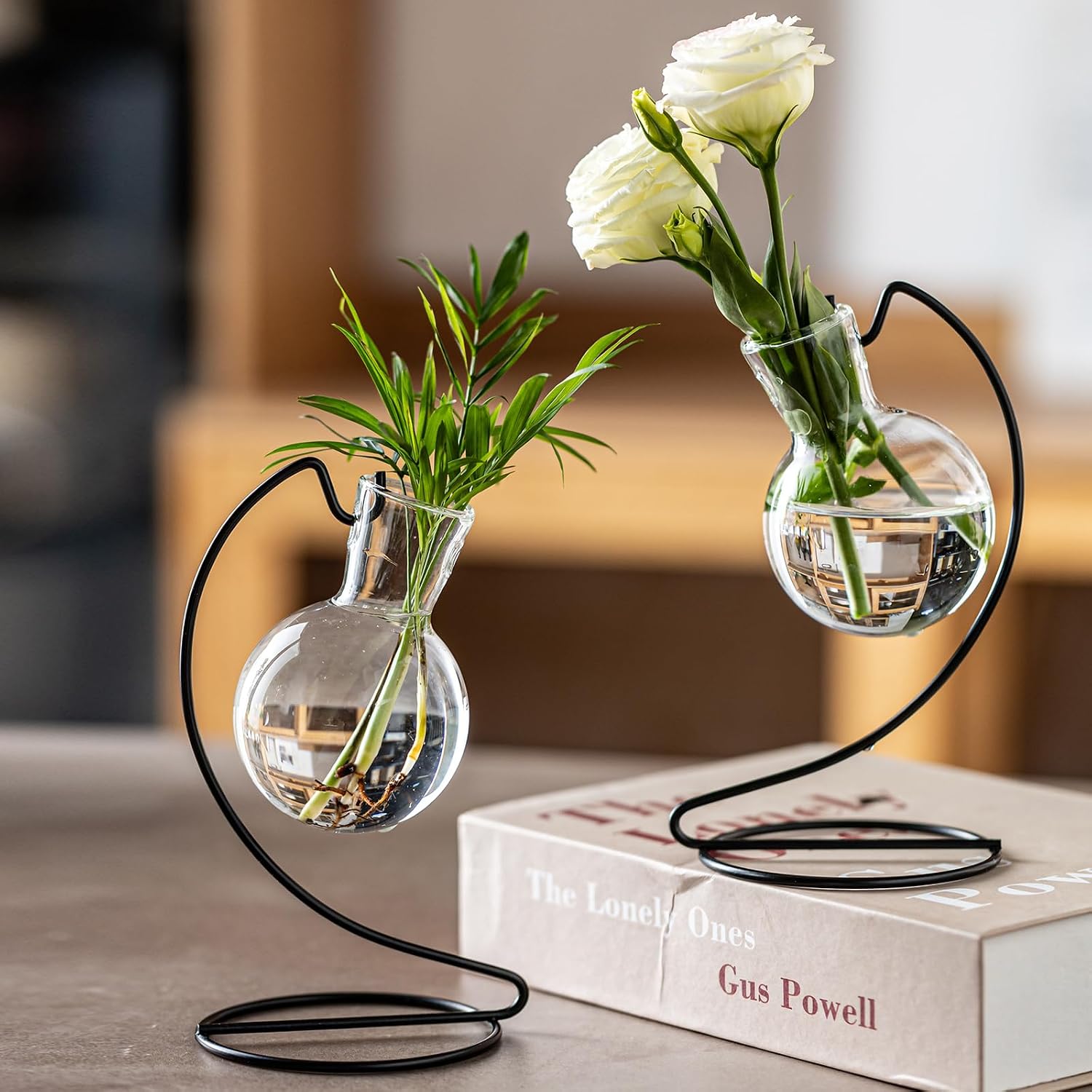 Desktop Glass Plant Propagation Station with Metal Stand, Tabletop Plant Terrarium,Hydroponics Vase for Propagating