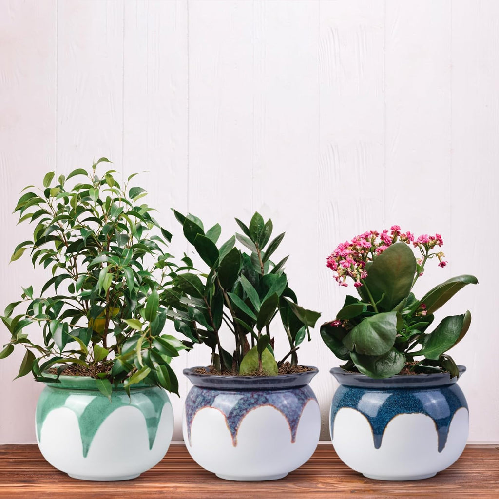 African Violet Pots, 6 Inch Self Watering Pots for Indoor Plants, Easy Plant Self Watering Planter, Ceramic Plant Pot